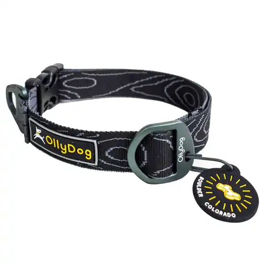 OllyDog Flagstaff Hundhalsband- Raven Bark (S) Kundfavorit