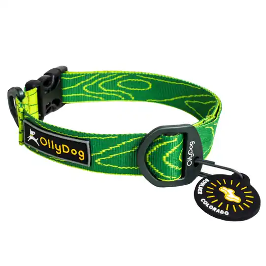 OllyDog Flagstaff Hundhalsband- Sage Bark (L) Säker betalning