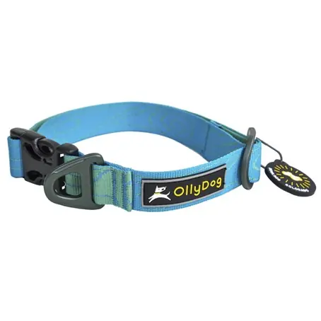 OllyDog Flagstaff Hundhalsband- Sky Bark (M) Extra rabatt