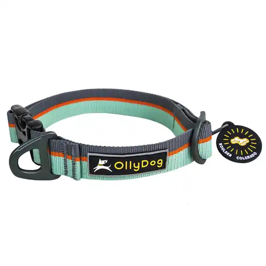 Beställ nu OllyDog Flagstaff Hundhalsband- Surf (L)