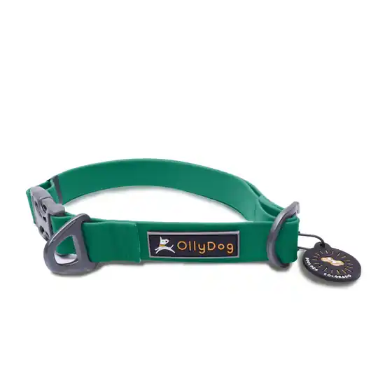 Rabatter Ollydog Tilden Waterproof halsband- Teal (L)