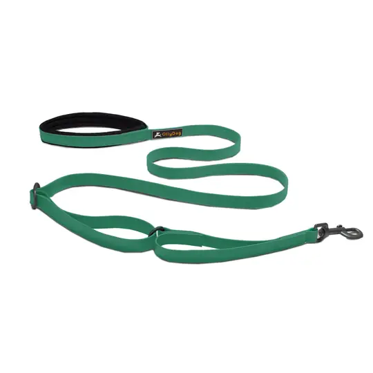 Rea Ollydog Tilden Waterproof koppel Teal