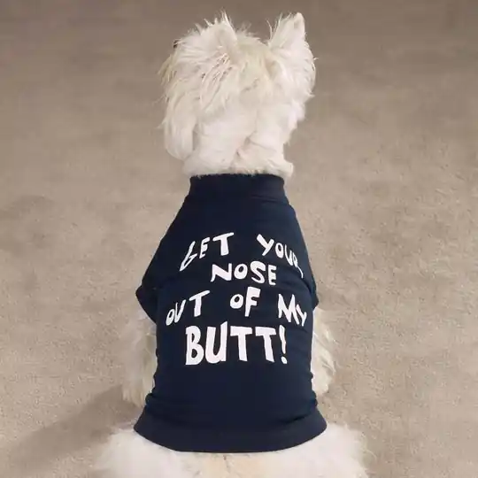 Trygg betalning Petster "Your nose" T-shirt (L)