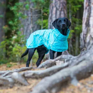 Rukka Hase Regnjacka för hund - Aqua (30) Erbjudandepris
