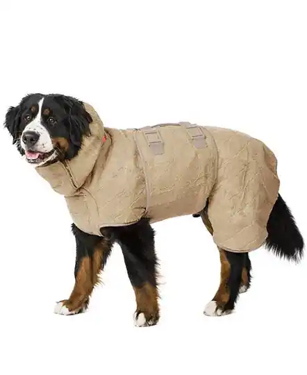 Premium Siccaro WetDog SupremePro - Elmwood (L)