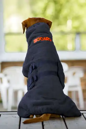 Siccaro WetDog SupremePro - Granite (XL) Begränsad tid