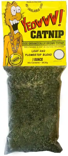 Rabatt YEOWWW Kattmynta i lösvikt - 31 gram