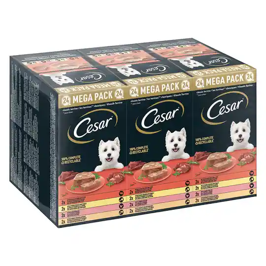 28 x / 48 x 150 g Cesar våtfoder till sparpris! - Classic Terrine (48 x 150 g) Kampanjpris