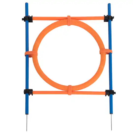 Agility Fun & Sport hoppring - Ø 55 cm Sista chansen