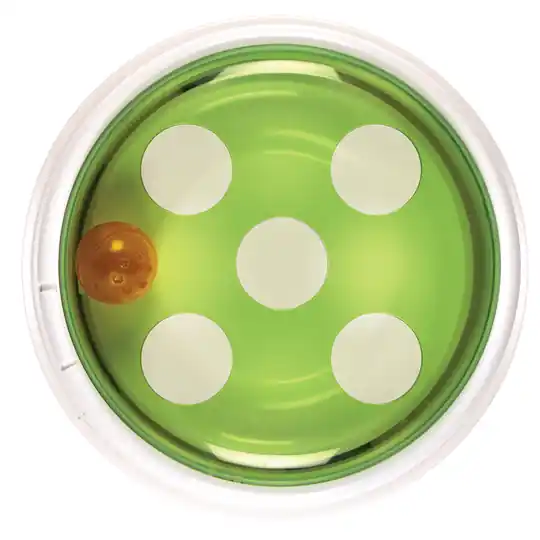Populär Catit Senses 2.0 Ball Dome kattleksak - 1 st