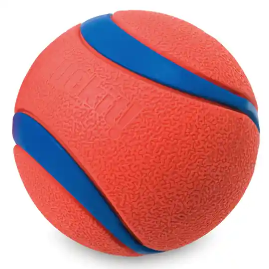 Chuckit! Ultra Ball - 2 st Ultra Ball stl. M ca Ø 6,5 cm Expressleverans