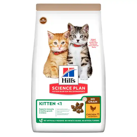 Billig Hill‘s Science Plan Kitten