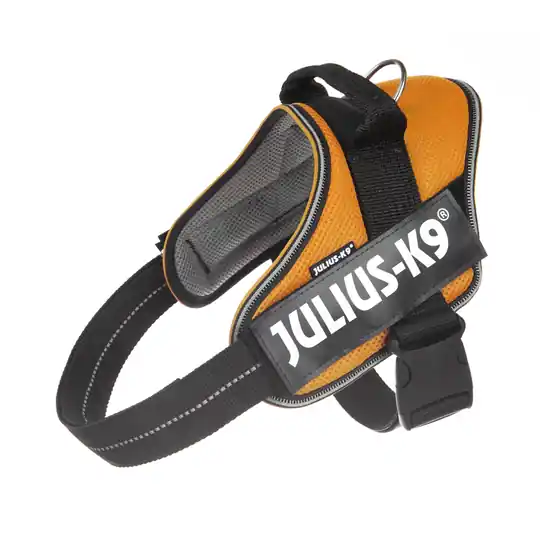 Bästa pris JULIUS-K9 IDC® POWAIR sele - orange - Stl. 1 bröstomfång 63 - 85 cm