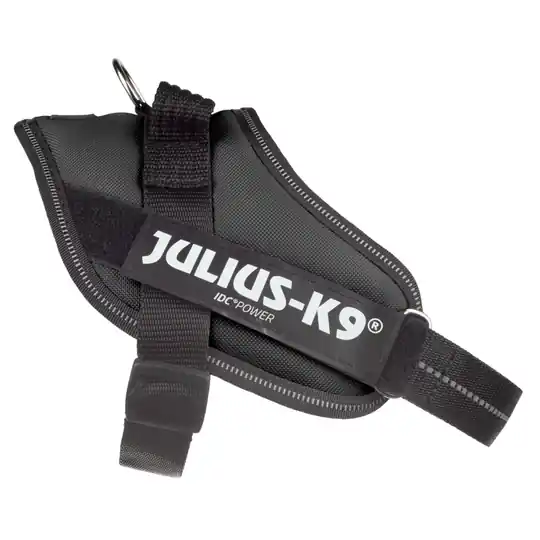 Lågt pris JULIUS-K9 IDC®-Powersele svart - Stl. Mini bröstomfång 49 - 67 cm