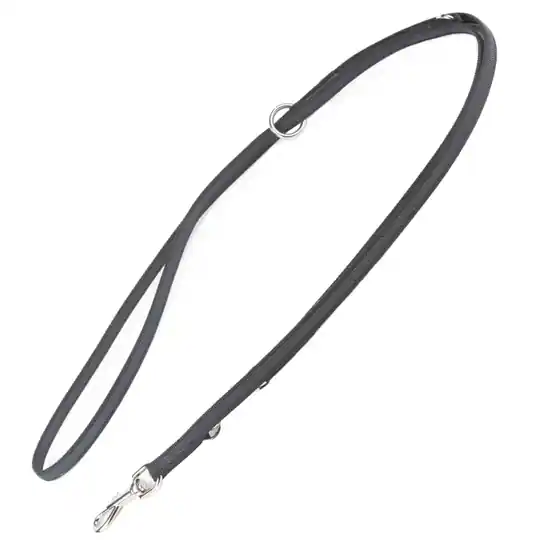 Endast idag JULIUS-K9® koppel, gummerat - L 220 cm x B 20 mm, upp till max. 50 kg