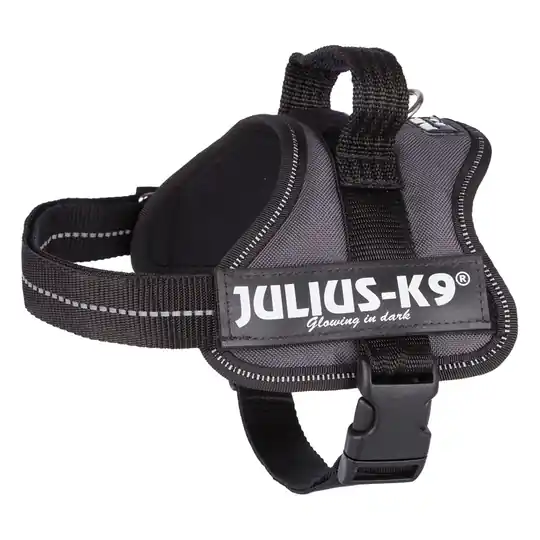 Begränsad tid JULIUS-K9® Powersele - antracit - Stl. Mini/M 51-67 cm