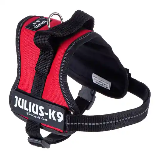 Billig JULIUS-K9® Powersele - röd - Stl. Mini 51 - 67 cm bröstomfång