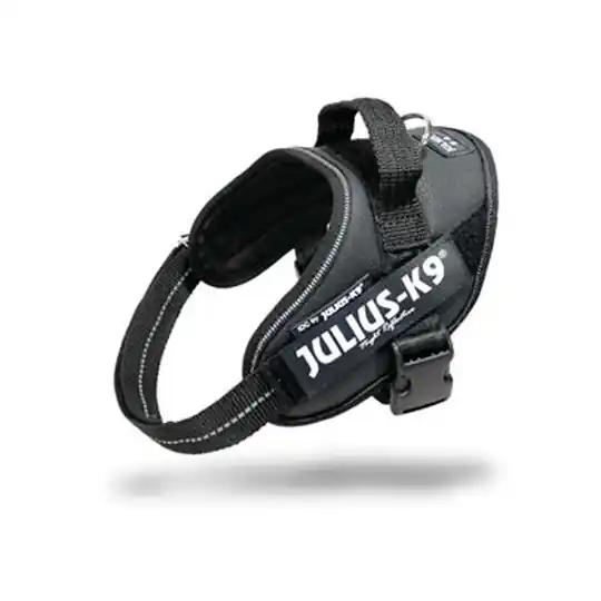 Reapris JULIUS-K9® Powersele - svart - Stl. Mini 51- 67 cm bröstomfång
