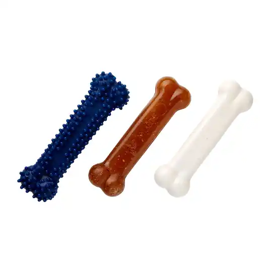 Rea Nylabone Puppy Starter Kit Dog Chew - Small