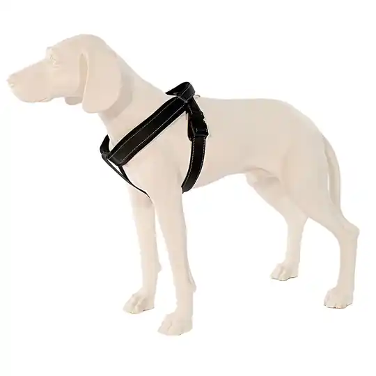 PatentoPet® Sport sele, svart - Stl. L bröstomfång 66-85 cm Outlet