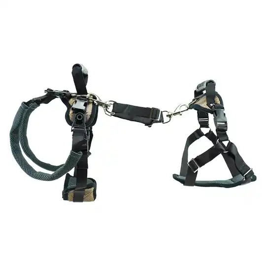 Bästa pris PetSafe CareLift lyftsele, svart - Stl. M 61 - 84 cm bröstomfång