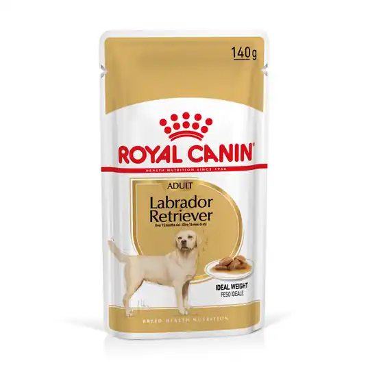 Erbjudande Royal Canin Breed Labrador Retriever Adult - 10 x 140 g