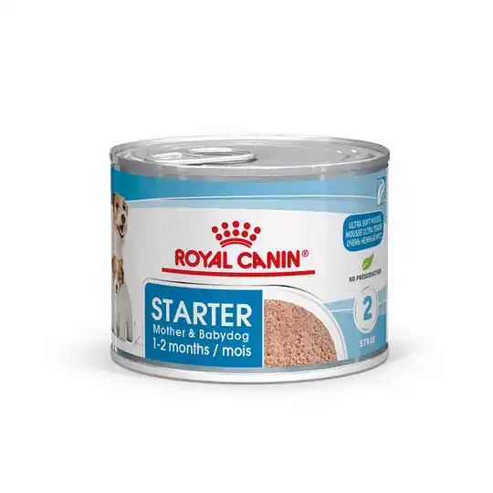 Handla nu Royal Canin Starter Mousse Mother & Babydog - 12 x 195 g