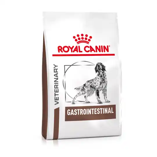Rea Royal Canin Veterinary Canine Gastro Intestinal - 2 kg