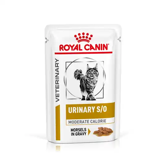 Endast idag Royal Canin Veterinary Feline Urinary S/O Moderate Calorie 12 x 85 g (bitar i sås)