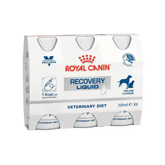 Rabatt Royal Canin Veterinary Recovery Liquid - Ekonomipack 6 x 200 ml