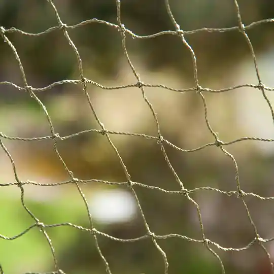 Ståltrådsförstärkt kattnät - 4 x 3 m Lågt pris