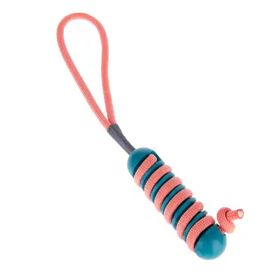 Nyhet TPR Stick Lolly hundleksak - 1 st