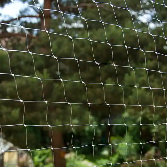 Transparent kattnät - 2 x 1,5 m Extra rabatt