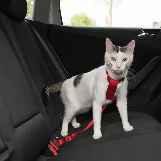 Köp online Trixie bilsele för katter - Röd