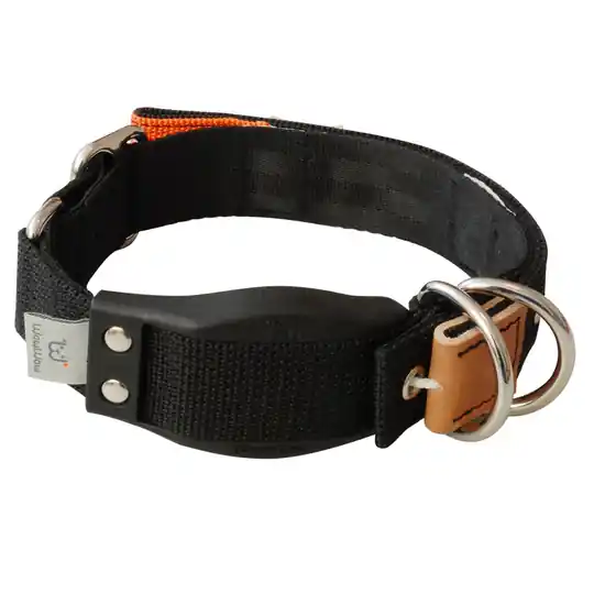 Köp online WowWow Professional, svart hundhalsband - Stl. M 37 - 46 cm halsomfång, B 35 mm
