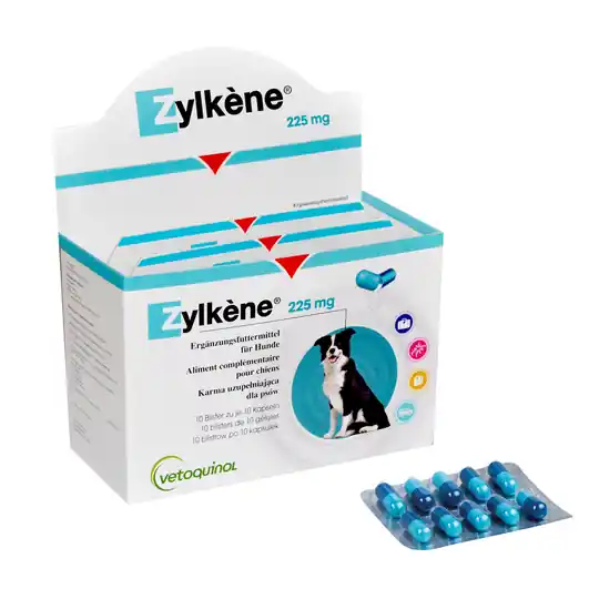 Zylkene kapslar 220 mg hund 10-30 kg - Ekonomipack 2 x 100 st Erbjudandepris