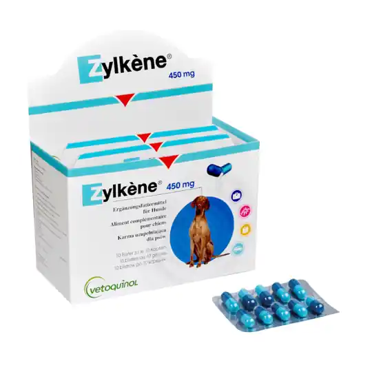Zylkene kapslar 450 mg hund >30 kg - Ekonomipack. 2 x 100 st Premium