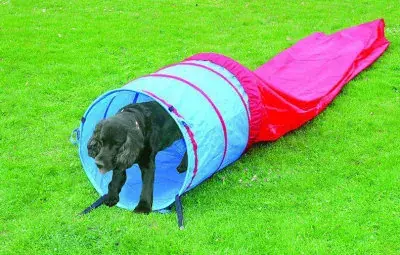 Agility tunnel 5M 60cm diameter, Pawise Begränsad tid
