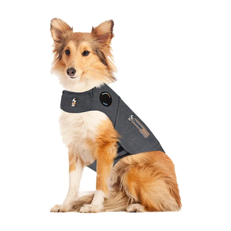 Handla nu Thundershirt till Hund