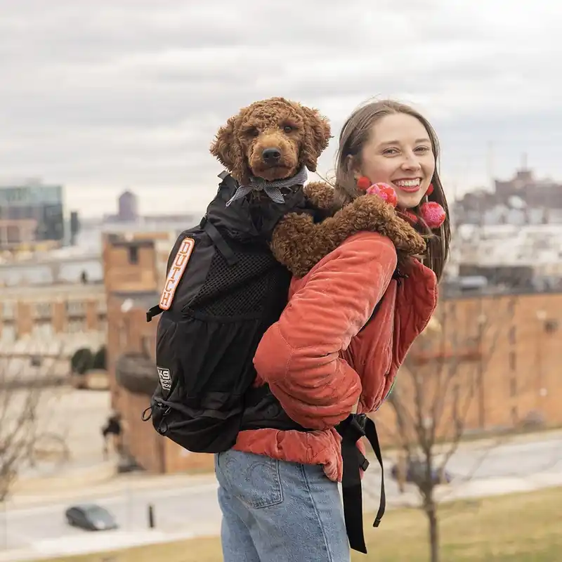 Rea K9 Sport Air 2 Ryggsäck till Hund Svart