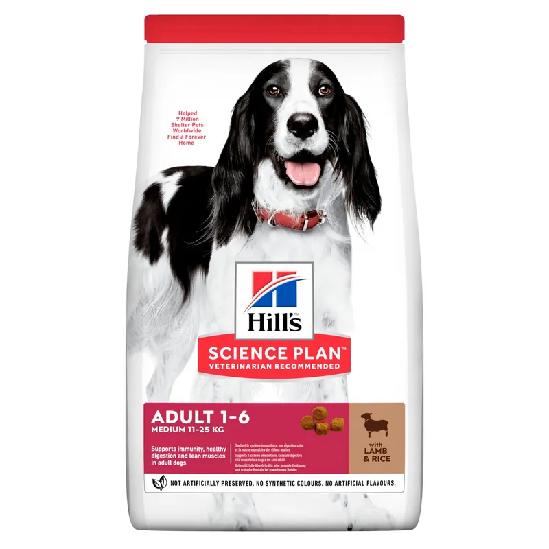 Begränsad tid Adult Medium Hundfoder med lamm och ris - 14 kg