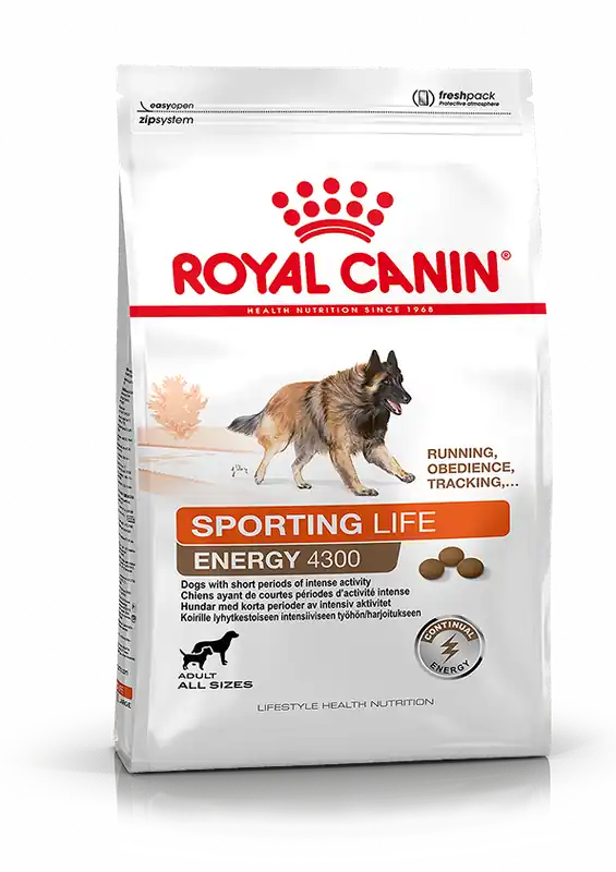 Sport Life Energy 4300 Adult Torrfoder för hund - 15 kg Sista chansen