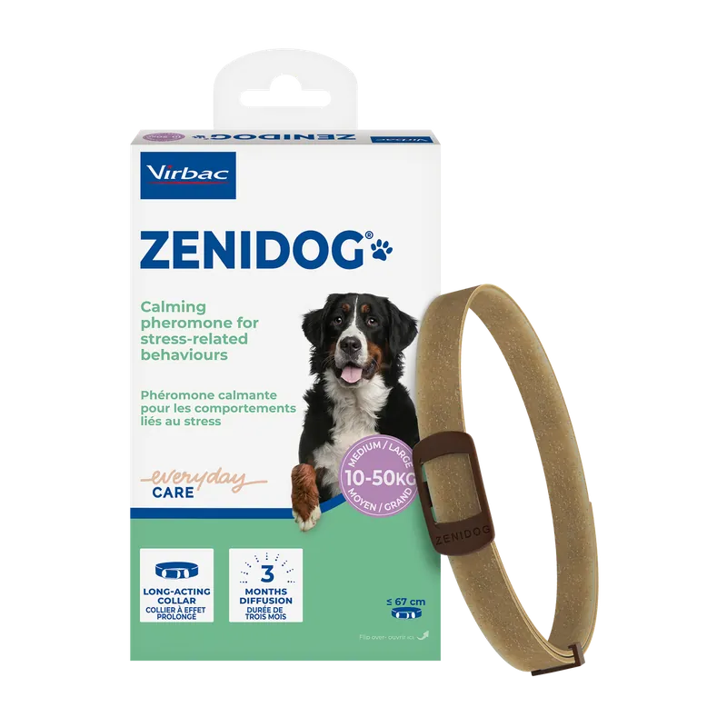 Begränsat erbjudande Zenidog Halsband till Hund - M/L