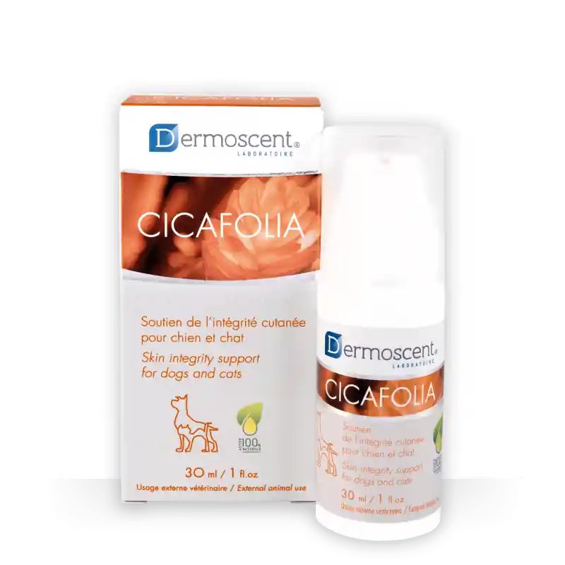 Dermoscent Cicafolia® Serum - 30 ml Lägg i varukorgen