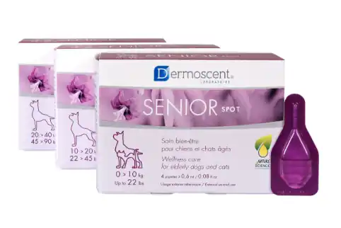 Extra rabatt Spot-on Senior för hund - Medium (4 x 1,2 ml)
