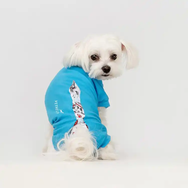 Endast idag Operationsdräkt/skyddande body, Hanhund - 0