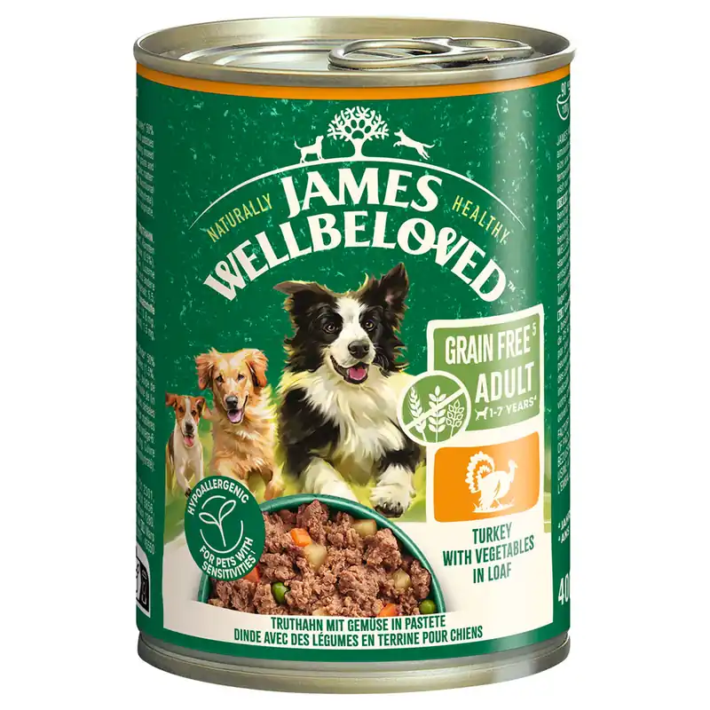Billig James Wellbeloved Adult Dog Grain Free Hypoallergenic Paté med kalkon - 6 x 400 g