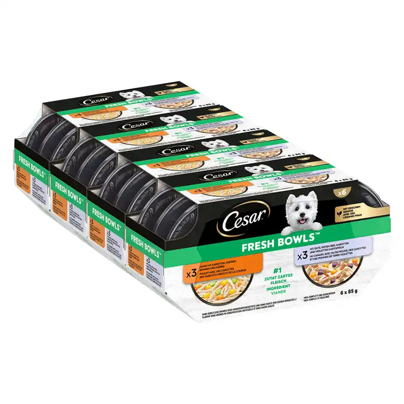 Handla nu Cesar Fresh Bowls - Ekonomipack Kyckling & anka i sås (96 x 85 g )