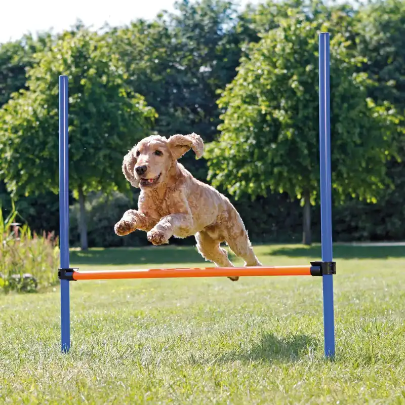 Trixie Agility Hopphinder Lägg i varukorgen