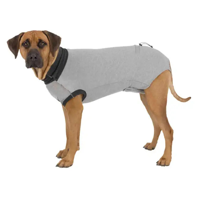 Trixie Skyddsdräkt L-XL för hundar Rea